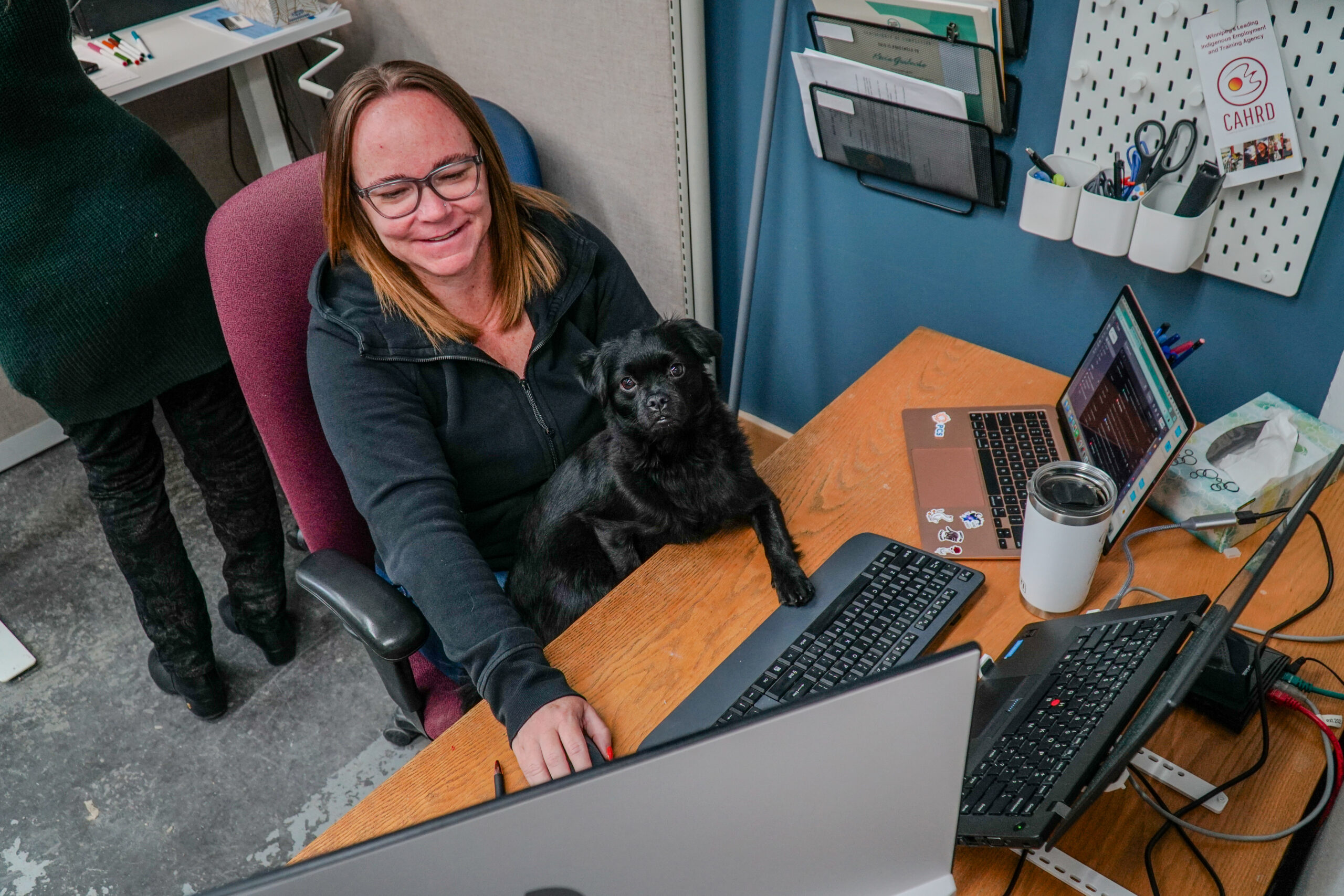 Woman working at a desk with a small black dog in her lap.